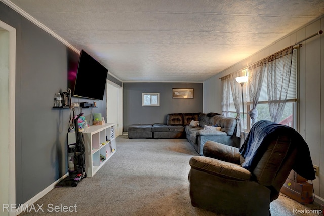 10304 Nichols Rd, Montrose, MI 48457 - carpeted living room featuring crown molding and baseboards