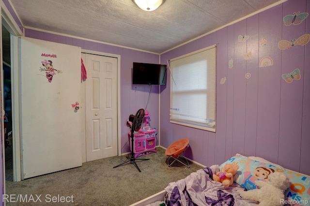 10304 Nichols Rd, Montrose, MI 48457 - carpeted bedroom with ornamental molding, a closet, and a textured ceiling