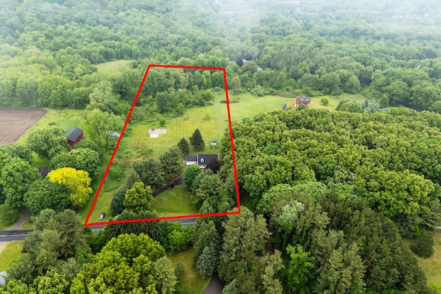 2961 E B Ave, Plainwell, MI 49080 - overview of rural landscape featuring property parcel outlined and a forest