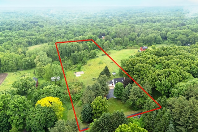 2961 E B Ave, Plainwell, MI 49080 - view of property location featuring property boundaries highlighted and a heavily wooded area