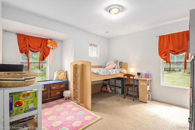 1653 Crab Apple Dr, Ypsilanti, MI 48198 - carpeted bedroom with multiple windows