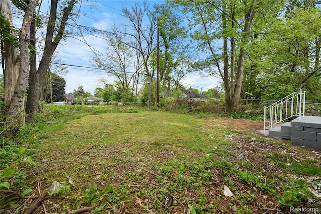 17594 Vaughan St, Detroit, MI 48219 - view of yard