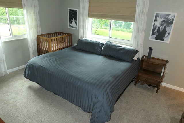 1502 Greenbrier Dr, Mount Pleasant, MI 48858