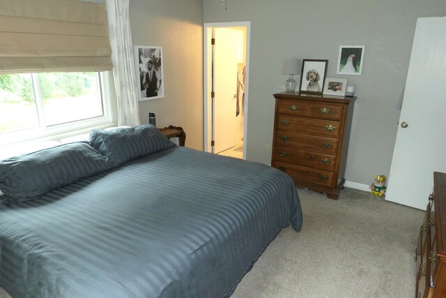 1502 Greenbrier Dr, Mount Pleasant, MI 48858