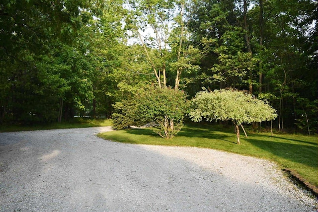 2735 Nestrom Rd, Muskegon, MI 49445 - view of dirt / gravel road with a wooded view