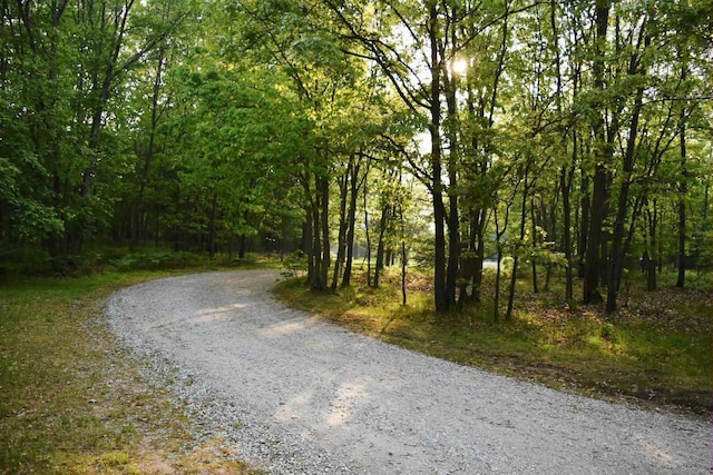 2735 Nestrom Rd, Muskegon, MI 49445 - view of road with a view of trees