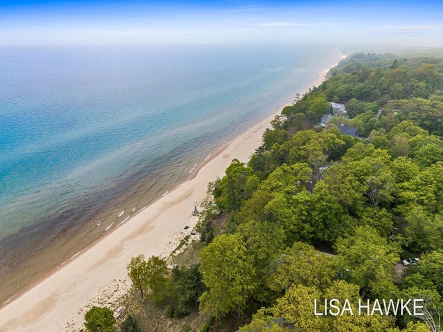 12857 Wilderness Trl, Grand Haven, MI 49417 - drone / aerial view of expansive coastline