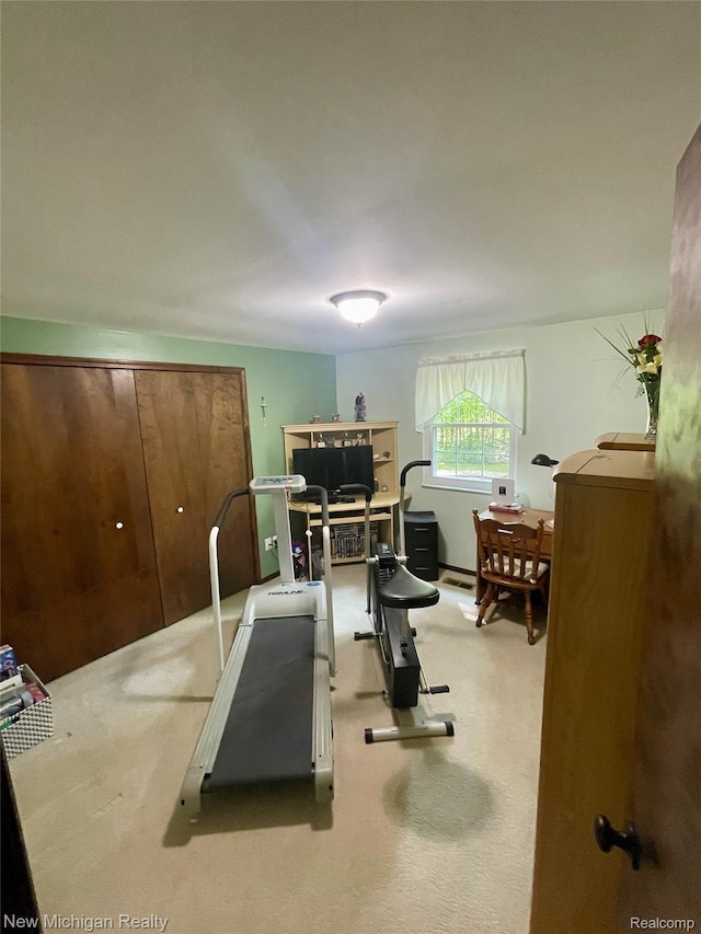 6567 Heaven Dr, Howell, MI 48855 - workout area with carpet