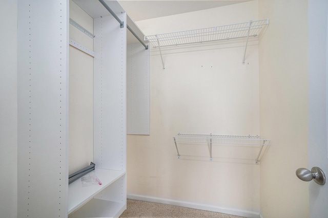 302 NE Xing, Holland, MI 49423 - walk in closet with carpet floors