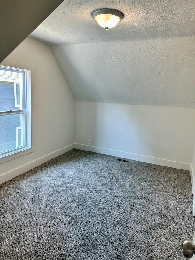 1200 Pine St, Muskegon, MI 49442 - additional living space featuring baseboards, a textured ceiling, carpet flooring, and lofted ceiling
