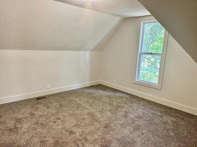 1200 Pine St, Muskegon, MI 49442 - bonus room with a textured ceiling, vaulted ceiling, baseboards, and carpet