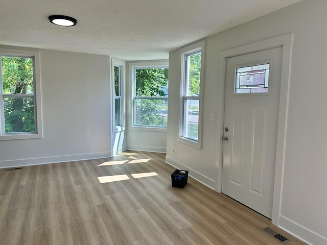 1200 Pine St, Muskegon, MI 49442 - entrance foyer featuring baseboards, light wood-style floors, and plenty of natural light