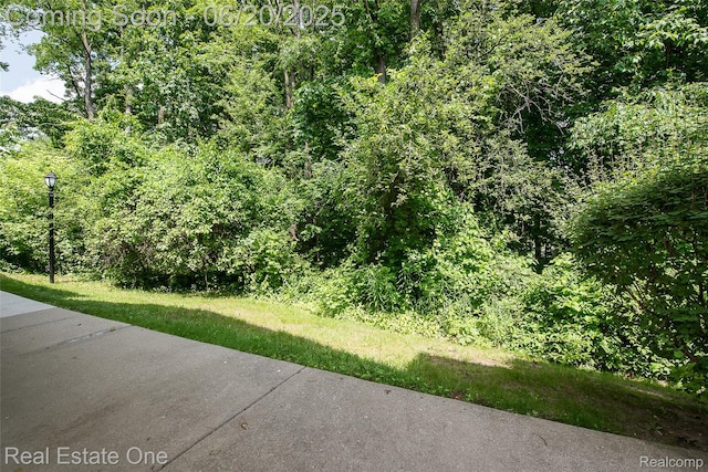410 Spring Brooke Dr, Brighton, MI 48116 - view of yard