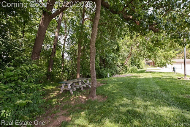 410 Spring Brooke Dr, Brighton, MI 48116 - view of grassy yard