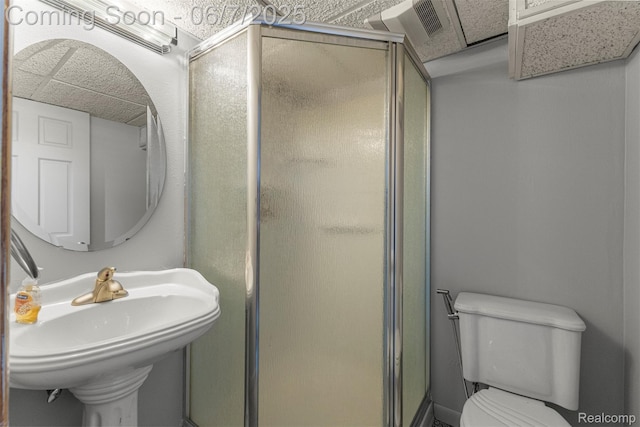 8786 N Evangeline St, Dearborn Heights, MI 48127 - full bath with a stall shower, toilet, and a sink