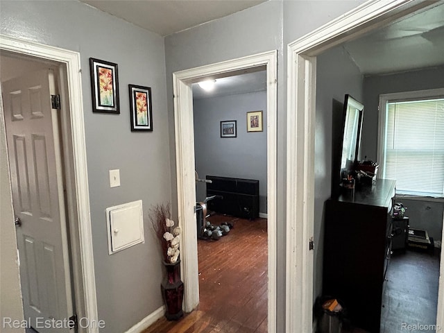 16857 Cheyenne St, Detroit, MI 48235 - hallway with dark wood-style floors and baseboards