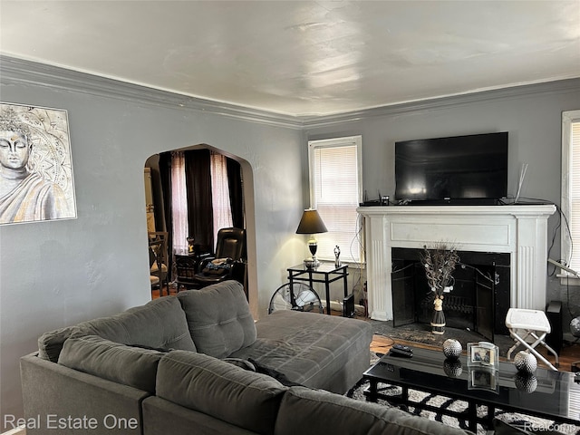 16857 Cheyenne St, Detroit, MI 48235 - living area featuring arched walkways, crown molding, and a premium fireplace