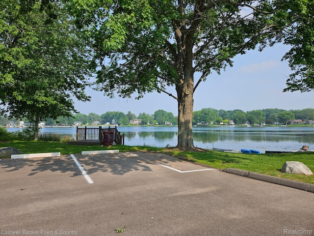 2270 Gulfstream St, Brighton, MI 48114 - water view
