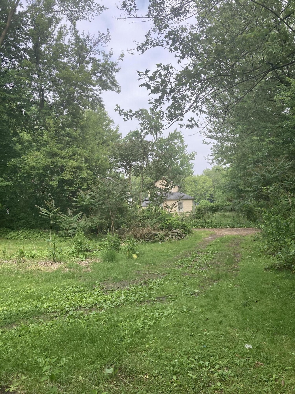 55 Poplar St, Battle Creek, MI 49017 - view of yard
