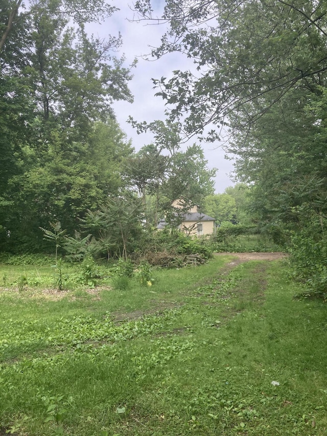 55 Poplar St, Battle Creek, MI 49017 - view of yard