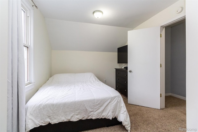 1821 4th St, Wyandotte, MI 48192 - photo 20