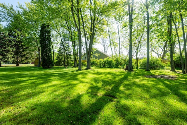 3715 Glen Haven Rd, Saint Joseph, MI 49085 - view of green lawn