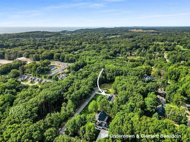 3341 Gaslight Ct, Saugatuck, MI 49453 - photo 51