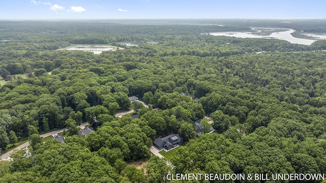 3341 Gaslight Ct, Saugatuck, MI 49453 - photo 81