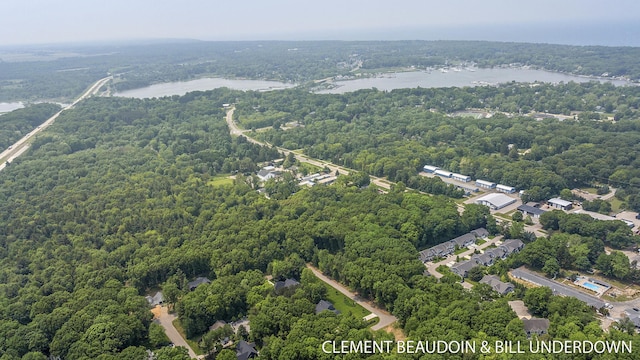 3341 Gaslight Ct, Saugatuck, MI 49453 - photo 83
