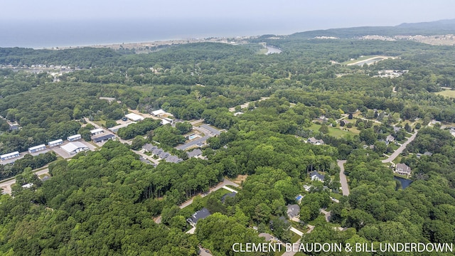 3341 Gaslight Ct, Saugatuck, MI 49453 - photo 82