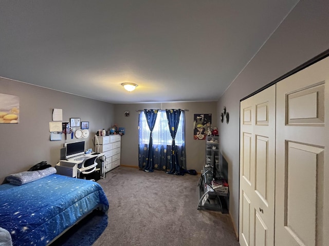 1637 Chippewa Way, Mount Pleasant, MI 48858 - photo 16