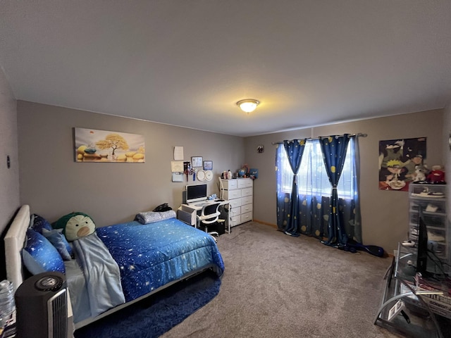 1637 Chippewa Way, Mount Pleasant, MI 48858 - photo 18