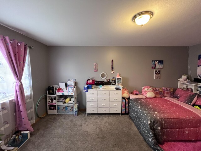 1637 Chippewa Way, Mount Pleasant, MI 48858 - photo 21