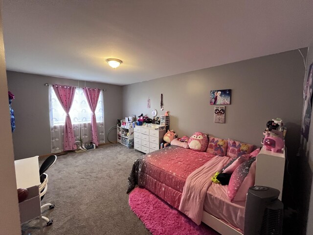 1637 Chippewa Way, Mount Pleasant, MI 48858 - photo 22