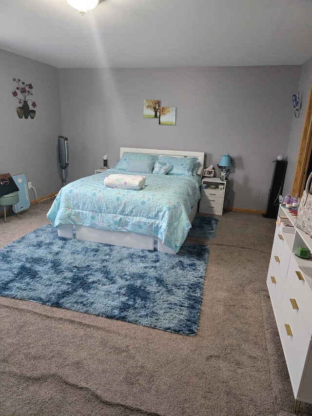 1637 Chippewa Way, Mount Pleasant, MI 48858 - photo 13