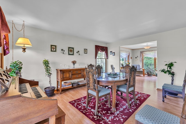 6676 Ralaric Dr, Dexter, MI 48130 - dining space featuring light wood-style flooring