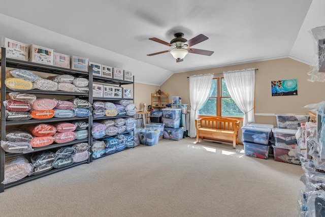6676 Ralaric Dr, Dexter, MI 48130 - storage room featuring ceiling fan