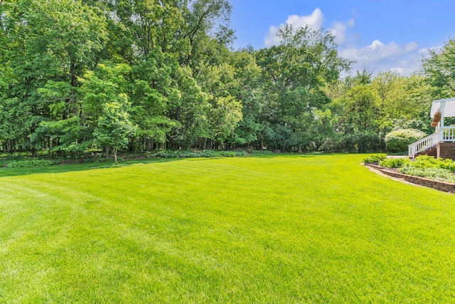 6676 Ralaric Dr, Dexter, MI 48130 - view of green lawn