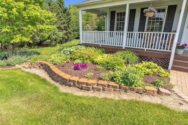 6676 Ralaric Dr, Dexter, MI 48130 - view of green lawn featuring a porch