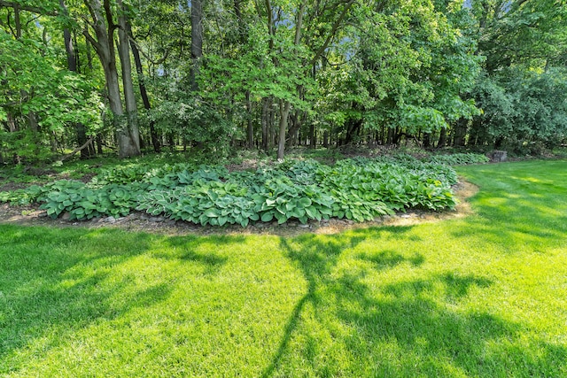 6676 Ralaric Dr, Dexter, MI 48130 - view of green lawn
