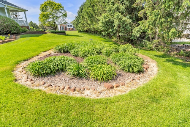 6676 Ralaric Dr, Dexter, MI 48130 - view of green lawn