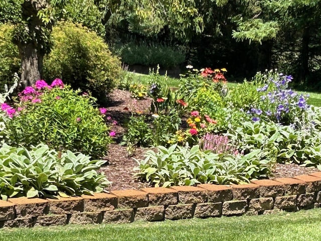6676 Ralaric Dr, Dexter, MI 48130 - view of yard
