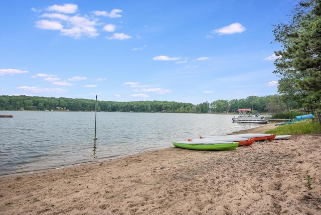 8833 W Velt Ave, Baldwin, MI 49304 - water view with a dock and a heavily wooded area