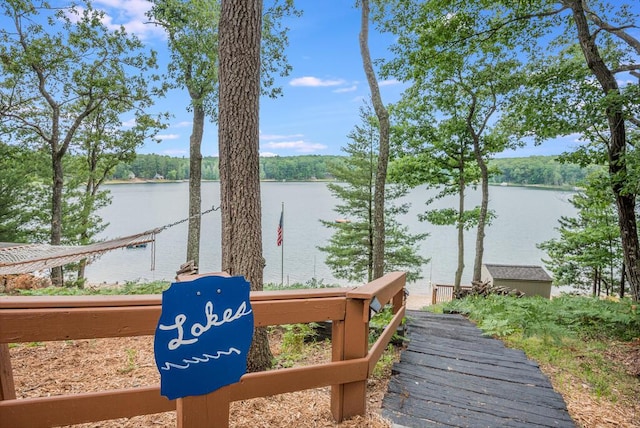 8833 W Velt Ave, Baldwin, MI 49304 - dock with a water view