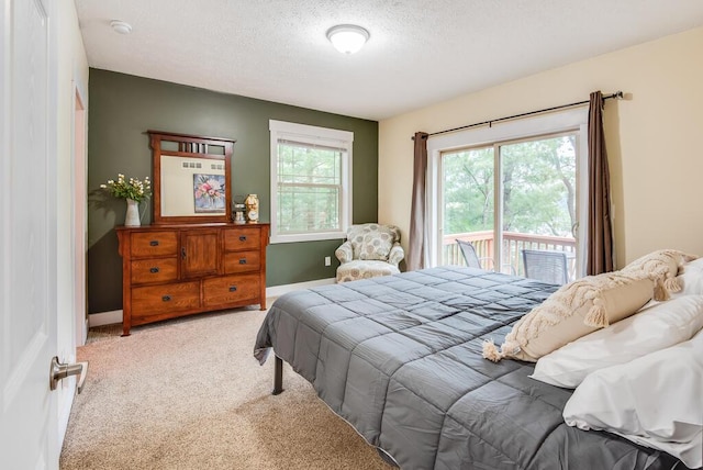 8833 W Velt Ave, Baldwin, MI 49304 - bedroom featuring access to exterior, a textured ceiling, light colored carpet, and baseboards