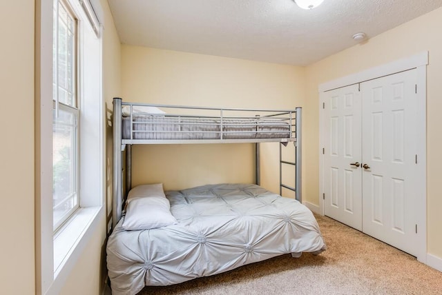 8833 W Velt Ave, Baldwin, MI 49304 - bedroom featuring carpet floors and a closet