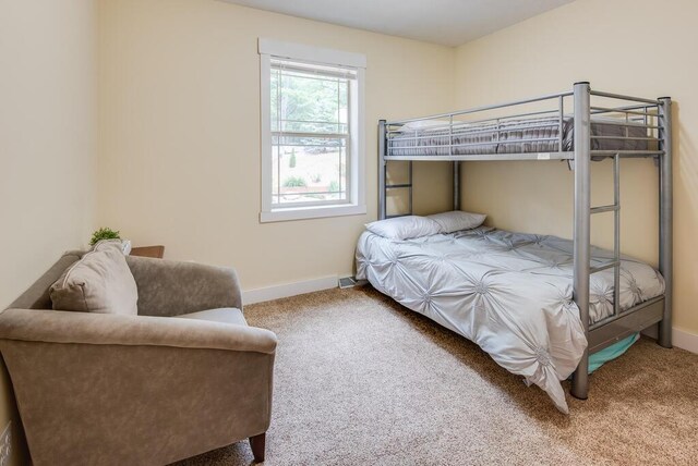 8833 W Velt Ave, Baldwin, MI 49304 - bedroom featuring carpet flooring and baseboards