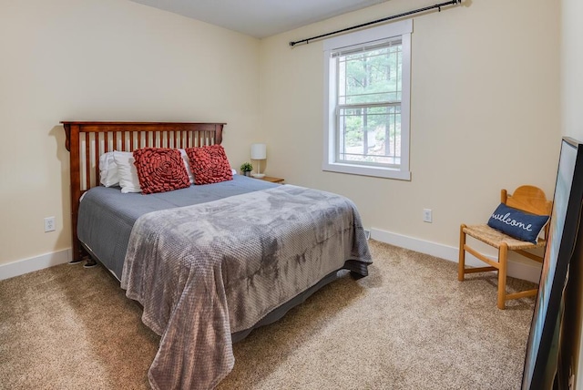 8833 W Velt Ave, Baldwin, MI 49304 - carpeted bedroom with baseboards