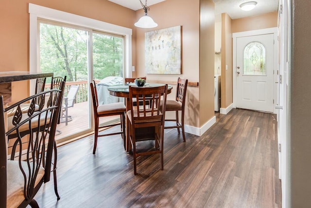 8833 W Velt Ave, Baldwin, MI 49304 - dining room featuring plenty of natural light, dark wood finished floors, and baseboards