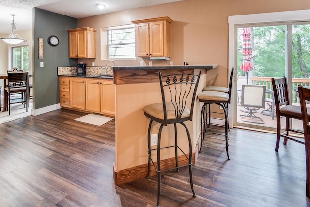 8833 W Velt Ave, Baldwin, MI 49304 - kitchen featuring light brown cabinets, dark countertops, plenty of natural light, and dark wood-type flooring